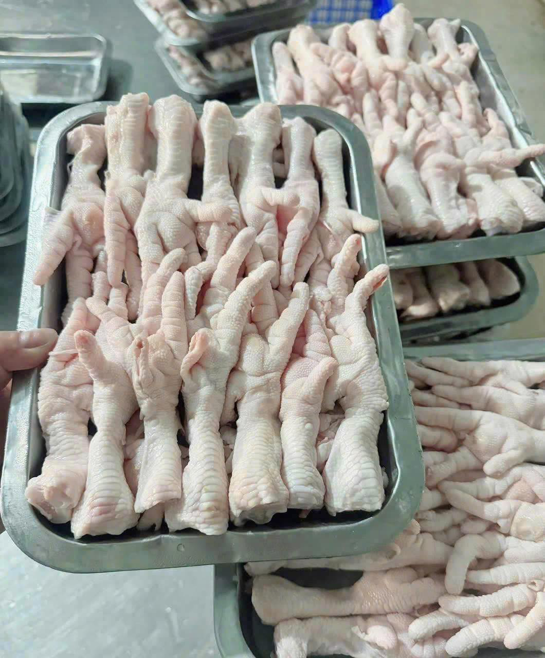 Chân gà rút xương xã Hoà Hội, HCM, chân gà rút xương sơ chế sẵn, chân gà đóng bịch 1kg, kho sỉ Fafood bán chân gà tươi rút xương giá tốt, đặt hàng liên hệ 0867008299. 