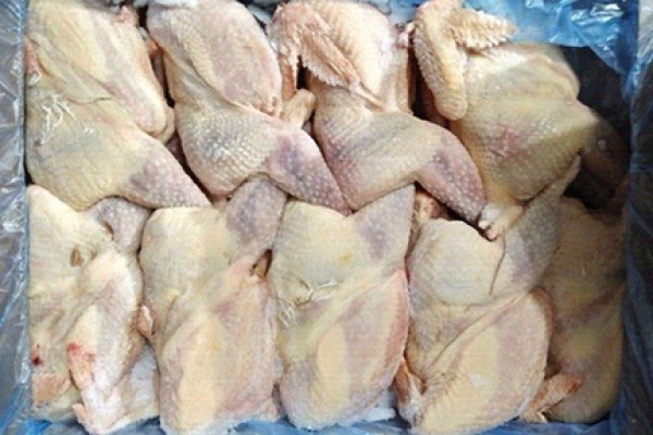 Gà đông lạnh nguyên con có đầu, gà nguyên con đông lạnh, mua gà đông lạnh nguyên con, gà đông lạnh giá sỉ, kho sỉ gà đông lạnh, gà nguyên con có đầu giá rẻ. 
