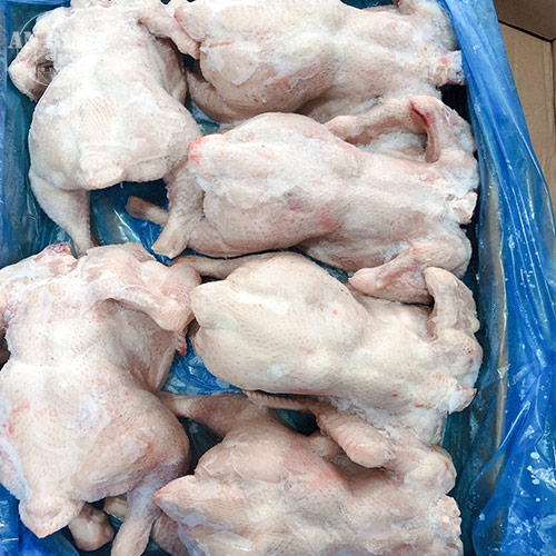 Gà đông lạnh nguyên con, gà đông lạnh tphcm, gà đông lạnh fafood, gà nguyên con đông lạnh cho quán ăn, gà đông lạnh cho bếp ăn công nghiệp, gà nguyên con bảo quản đông lạnh. 