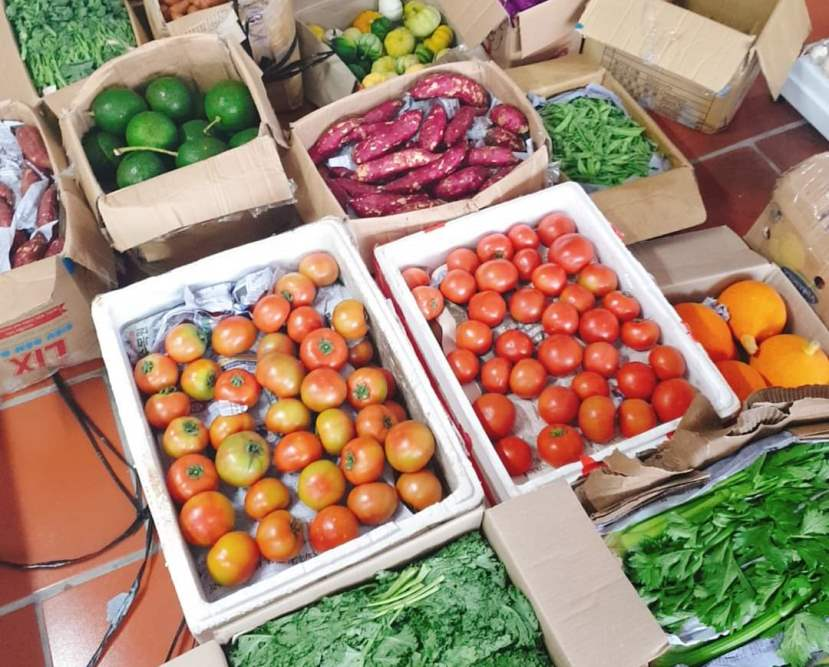 rau củ giá sỉ, kho sỉ fafood, nông sản Đà Lạt, rau củ sạch, thực phẩm tươi, chuẩn bị tết, rau củ an toàn